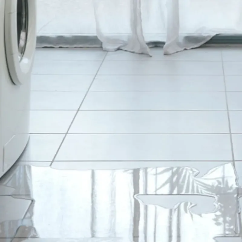 Appliance Leak Cleanup in Shenandoah, TX