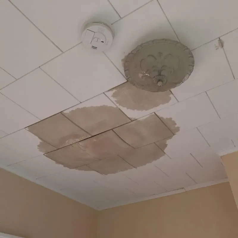Ceiling Water Damage Repair in Shenandoah, TX