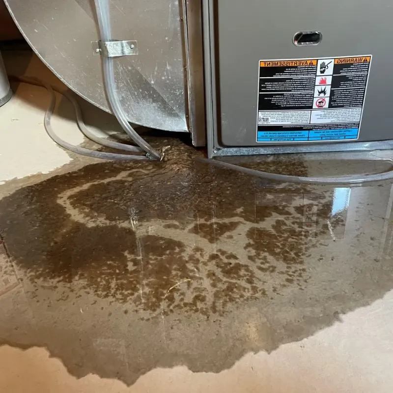 Pipe Burst and Leak Restoration in Shenandoah, TX