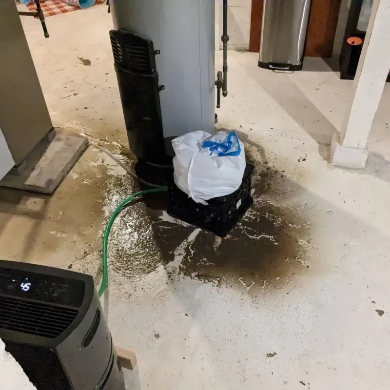 Sewage Backup Cleanup Service in Shenandoah, TX
